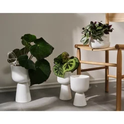 Kukkaruukut-IITTALA kastelupullo 2set