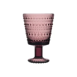 Aktiivinen Juomalasit-IITTALA Jalkalasi 26 cl 2 kpl Kanerva