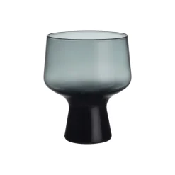 Aktiivinen Juomalasit-IITTALA Jalkalasi 29cl metallin 2 kpl Harmaa