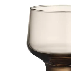 Aktiivinen Juomalasit-IITTALA Jalkalasi 29cl 2kpl Pellava