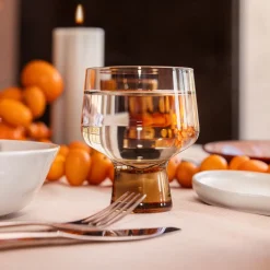 Aktiivinen Juomalasit-IITTALA Jalkalasi 29cl 2kpl Pellava