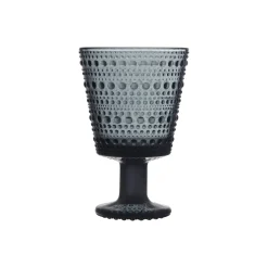Aktiivinen Juomalasit-IITTALA Jalkalasi 26cl 2 kpl Tummanharmaa