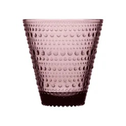 Aktiivinen Juomalasit-IITTALA Juomalasi 30 cl 2 kpl Kanerva
