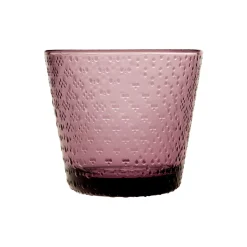 Aktiivinen Juomalasit-IITTALA Juomalasi 29cl 2kpl Kanerva