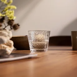 Aktiivinen Juomalasit-IITTALA Juomalasi 29cl kirkas 2kpl