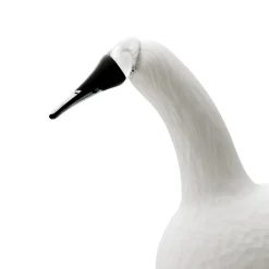 Birds By Toikka|Taide-Esineet-IITTALA Karjalan laulujoutsen valkoinen 330x210