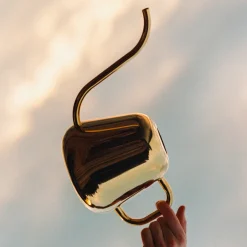 Kukkaruukut-IITTALA Kastelukannu 2L Messinki