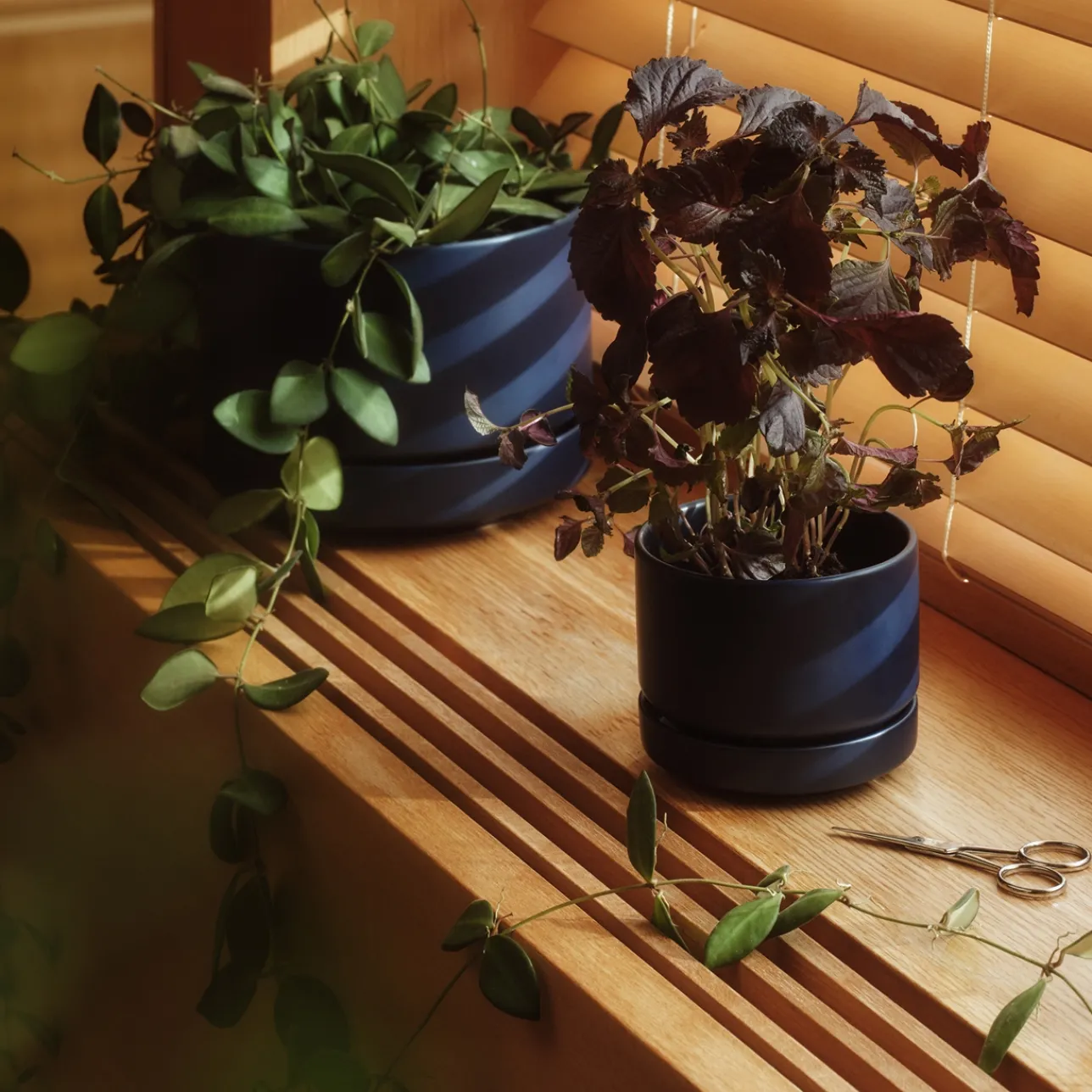 Kukkaruukut-IITTALA Kukkaruukku SN 11cm matta sininen