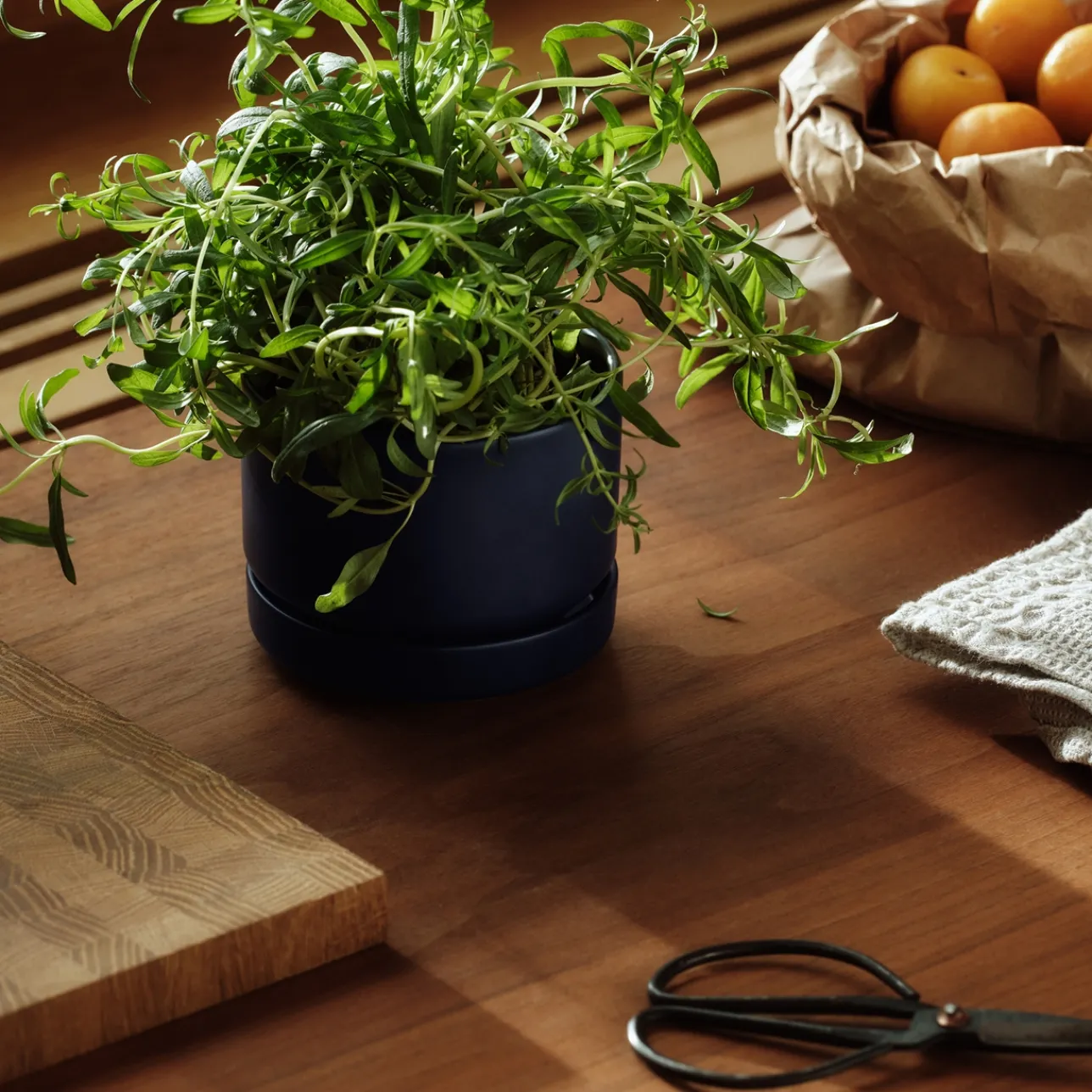 Kukkaruukut-IITTALA Kukkaruukku SN 11cm matta sininen