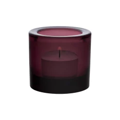 Kynttilälyhdyt-IITTALA Kynttilälyhty 60mm kanerva