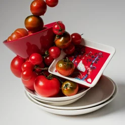 Lautaset-IITTALA Lautanen suorakaide 12x24cm punainen Musta