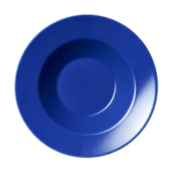 Lautaset-IITTALA Lautanen syvä 24cm iiris