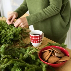 Mukit Ja Kupit-IITTALA Muki 0,34l punainen