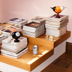 Birds By Toikka|Taide-Esineet-IITTALA Rantaharakka 250x175mm pomeranssi