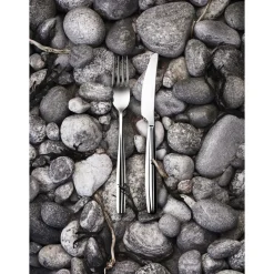 Veitset, Lusikat Ja Haarukat|Aterinsetit-IITTALA Ruokahaarukka 2kpl