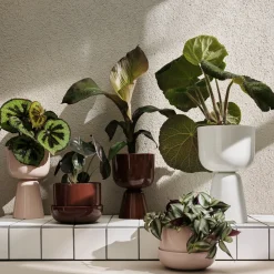 Kukkaruukut-IITTALA Ruukku ja vati S Beige