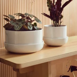 Kukkaruukut-IITTALA Ruukku ja vati M Valkoinen