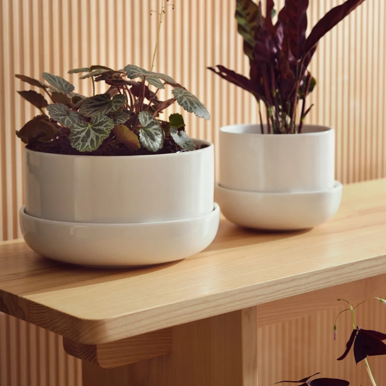 Kukkaruukut-IITTALA Ruukku ja vati M Valkoinen