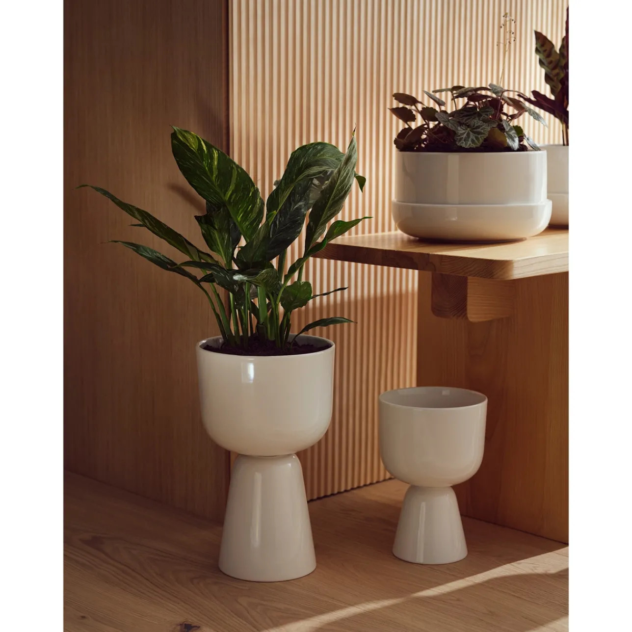 Kukkaruukut-IITTALA Ruukku ja vati M Valkoinen