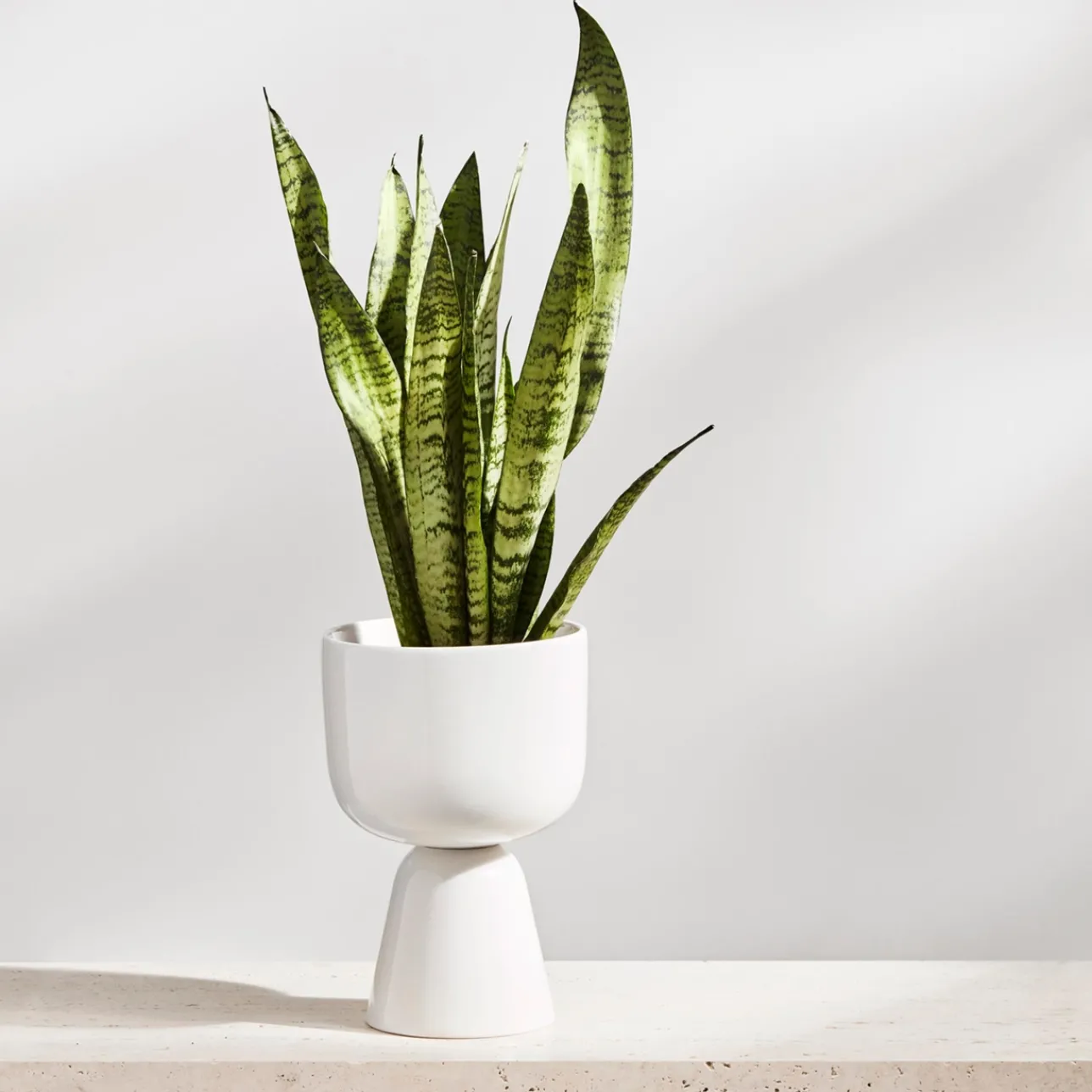 Kukkaruukut-IITTALA Ruukku jalallinen S Valkoinen