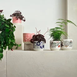 Kukkaruukut-IITTALA Ruukku 100x120mm