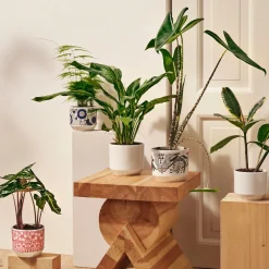 Kukkaruukut-IITTALA Ruukku 120x140mm