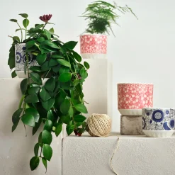 Kukkaruukut-IITTALA Ruukku 100x120mm