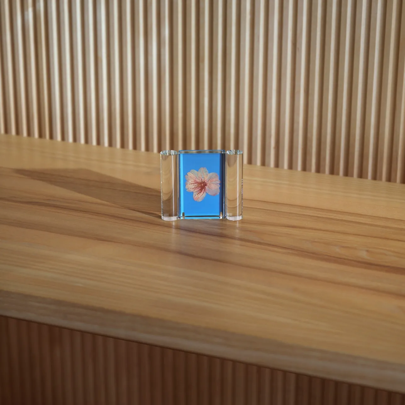 Lasikoristeet-IITTALA Valokuvakehys 76x64mm sininen