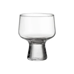 Aktiivinen Juomalasit-IITTALA Jalkalasi 29cl 2 kpl Kirkas