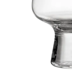 Aktiivinen Juomalasit-IITTALA Jalkalasi 29cl 2 kpl Kirkas